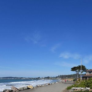 The Oceanfront Stay On Miramarbeach Hmb